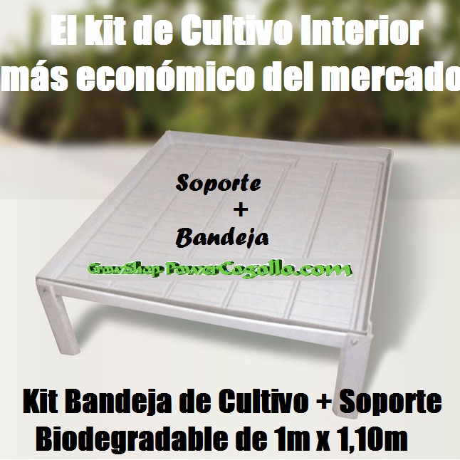 Kit Bandeja de Cultivo + Soporte Biodegradable