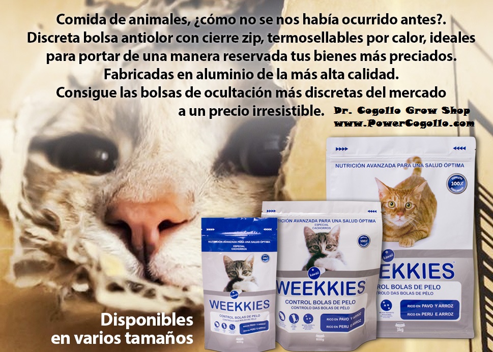 Bolsa Hermética de Ocultación Weekkies 3kg comida de gatos