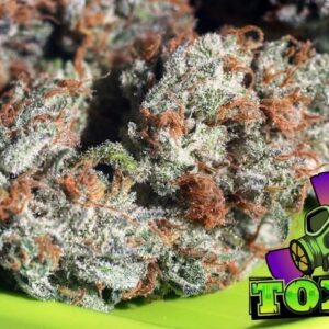 Toxic (Ripper Seeds) Semilla