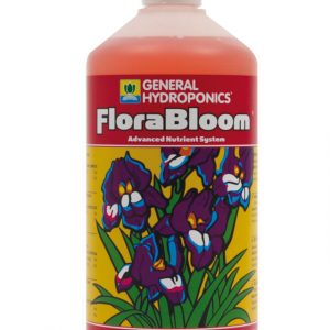 Flora Bloom (GHE)