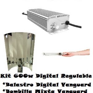 Kit 600w Digital Regulable + Bombilla mixta + Reflector Liso o Stucco