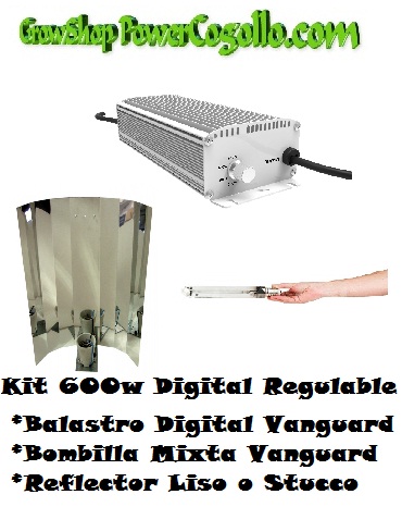 Kit 600w Digital Regulable + Bombilla mixta + Reflector Liso o Stucco