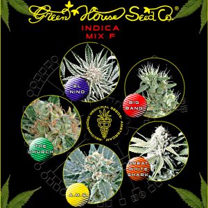 Indica Mix F (Green House Seeds)