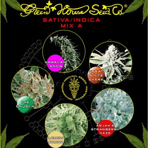 Sativa/Indica Mix B (Green House Seeds)