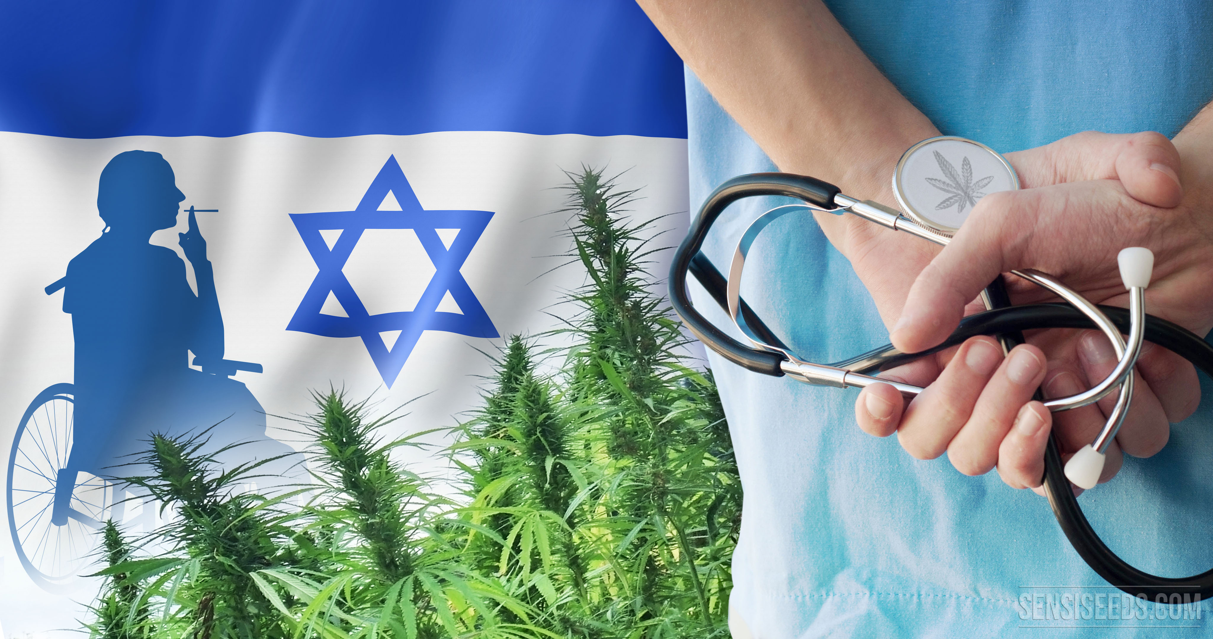 Israel a un paso de Exportar Marihuana Medicinal