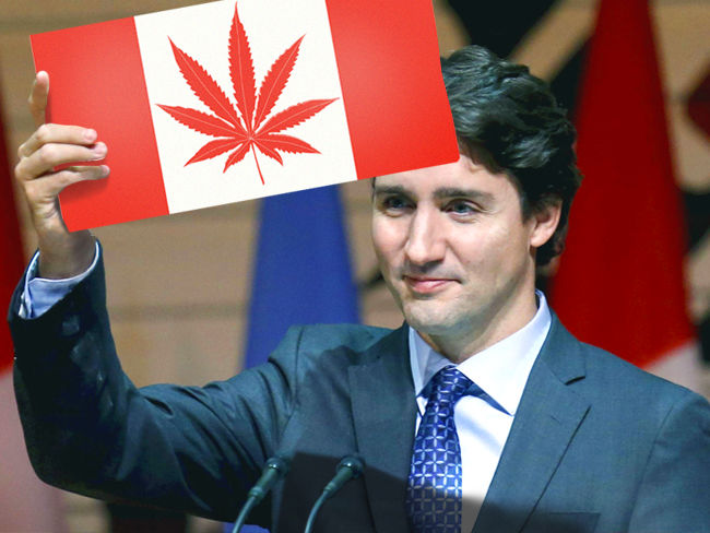 Canadá anuncia planes para legalizar el cannabis en 2018