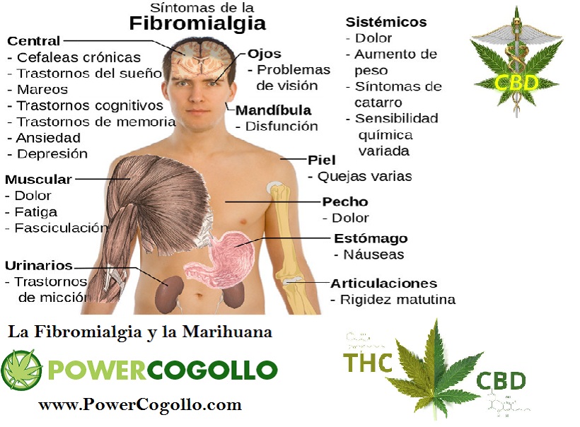 La Fibromialgia y la Marihuana