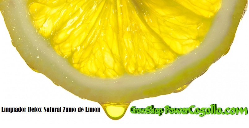 Limpiador Detox Natural Zumo de Limón