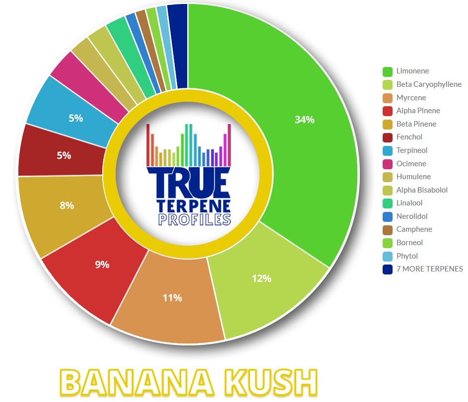 TERPENOS BANANA KUSH (TRUE TERPENE)