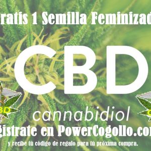 Gratis Semilla CBD Feminizada Registro Web