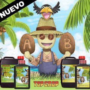 Top Coco A+B (Top Crop)