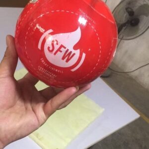 SFW Extintor Bola automático