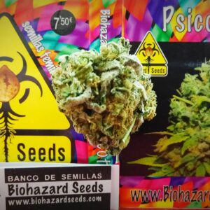 Psicotropic Feminizada (Biohazard Seeds)