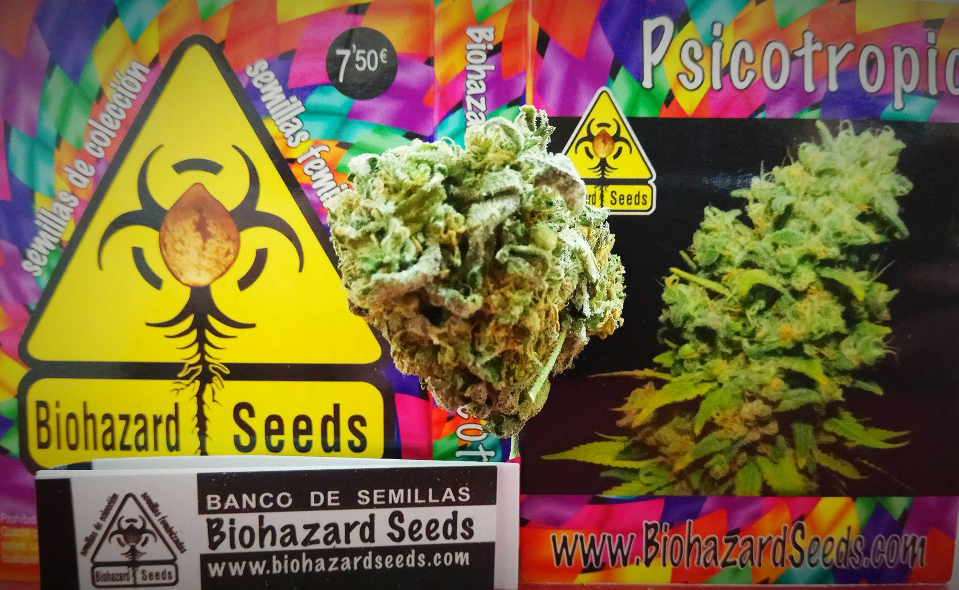 Psicotropic Feminizada (Biohazard Seeds)