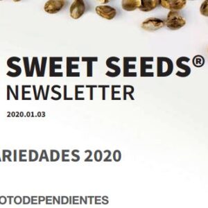 Sweet Zenzation Feminizada (Sweet Seeds)