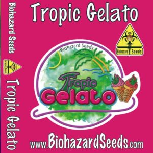 TROPIC GELATO FEMINIZADA (BIOHAZARD SEEDS)