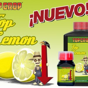 TOP LEMON- ACIDO CITRICO (Top Crop)