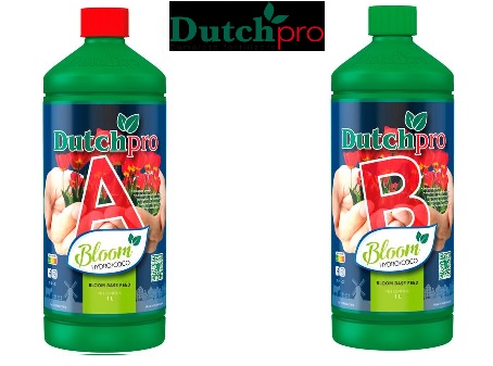 original-bloom-hydro-cocos-ayb-dutch-pro