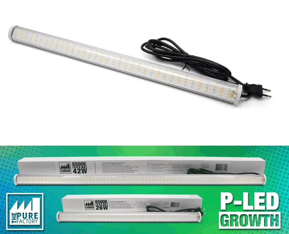 BARRA P-LED 42 W 6500K CRECIMIENTO/GROWTH THE PURE FACTORY