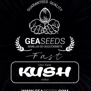 Fast Kush Feminizada (Gea Seeds)