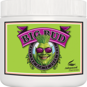 Big Bud Powder (Advanced Nutrients)