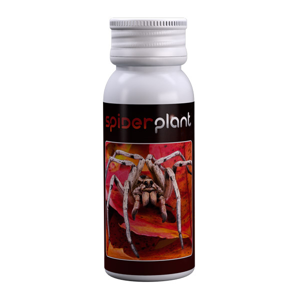 Spider Plant (Agrobacterias) Araña Roja 15ml