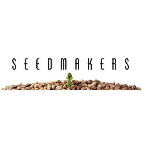 Super Gelato Feminizada (SeedMakers)