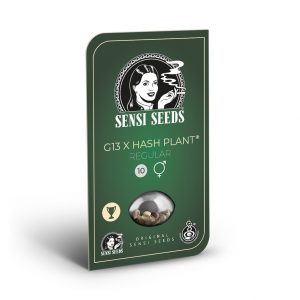 Mr. Nice G13 x Hash Plant (Sensi Seeds) Regular