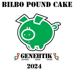 Bilbo Pound Cake Feminizada (Genehtik Seeds)